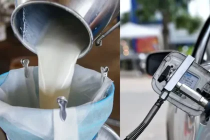 mumbai-cng-png-milk-price-hike-1-september-new-rates