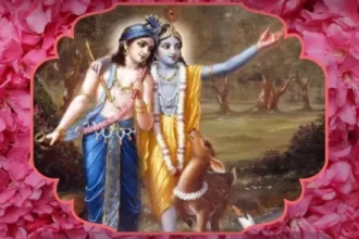 hal-shashthi-2026-date-puja-muhurat-rahukaal-bhadra
