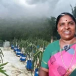 success-story-dragon-fruit-farming-roof-top-4-lakh-monthly-income