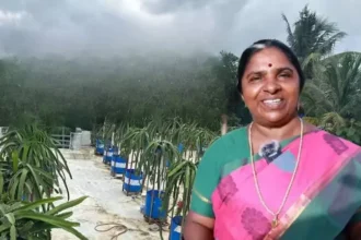 success-story-dragon-fruit-farming-roof-top-4-lakh-monthly-income