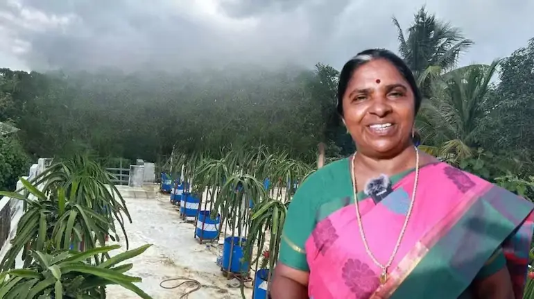 success-story-dragon-fruit-farming-roof-top-4-lakh-monthly-income