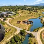 anant-ambani-vantara-asia-largest-private-zoo-jamnagar