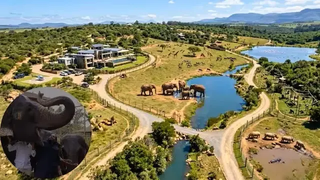 anant-ambani-vantara-asia-largest-private-zoo-jamnagar