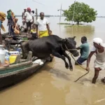 bihar-flood-crisis-ganga-water-level-patna-19-lakh-people-affected