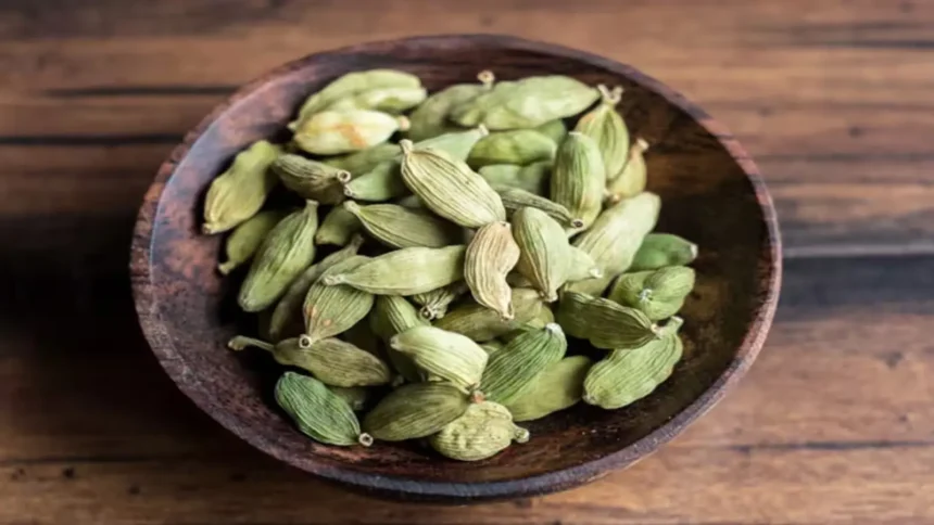 cardamom-price-small-cardamom-price-rise-4500-per-kg