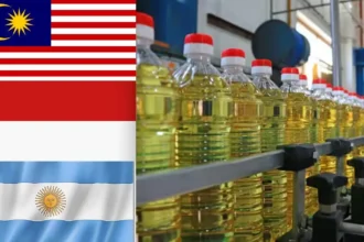 india-soyoil-imports-record-palm-oil-import-indonesia-malaysia-argentina