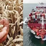 wheat-export-india-1-5-billion-dollar-export-opportunity