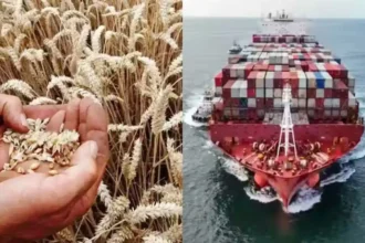 wheat-export-india-1-5-billion-dollar-export-opportunity