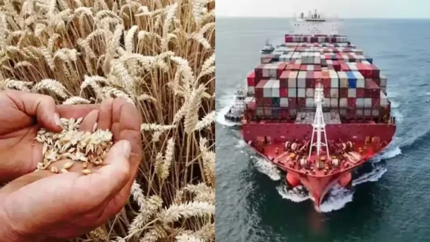 wheat-export-india-1-5-billion-dollar-export-opportunity
