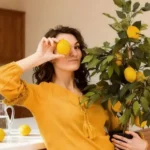 lemon-plant-care-tips-gamle-me-nimbu-ka-paudha-hara-bhara-rakhne-ke-tarike