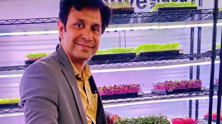 90-lakh-job-quit-microgreens-farming-1-44-crore-business