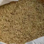 dhaan-kharif-season-government-procurement-target-msp-2026