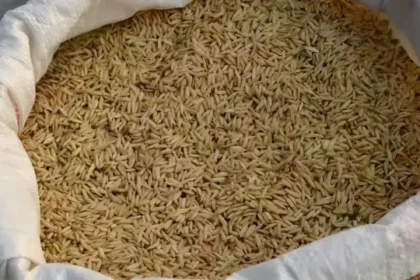 dhaan-kharif-season-government-procurement-target-msp-2026