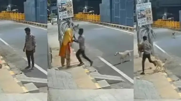 coimbatore-viral-video-woman-sexual-assault-attempt-street-dogs-cctv